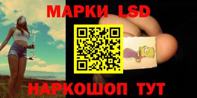 индика Новозыбков
