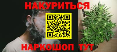 индика Новозыбков