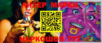 индика Новозыбков