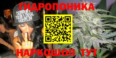 индика Новозыбков